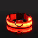 Coleira de nylon led noite segurança piscando brilho no escuro coleira para cães de estimação coleira