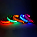 Coleira de nylon led noite segurança piscando brilho no escuro coleira para cães de estimação coleira