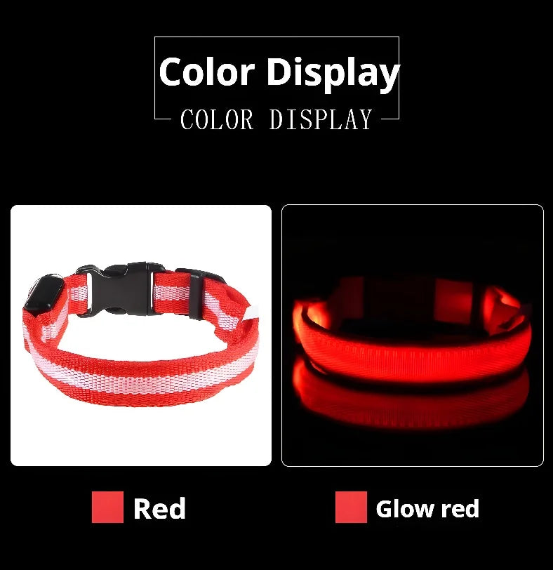 Coleira de nylon led noite segurança piscando brilho no escuro coleira para cães de estimação coleira