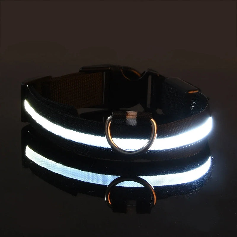 Coleira de nylon led noite segurança piscando brilho no escuro coleira para cães de estimação coleira