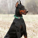Coleira de cachorro de nylon personalizada, coleira reflexiva para cães, colar personalizado para animais de estimação com alça para cães pequenos, médios e grandes, pitbull