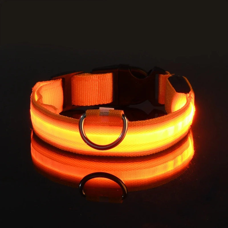 Coleira de nylon led noite segurança piscando brilho no escuro coleira para cães de estimação coleira