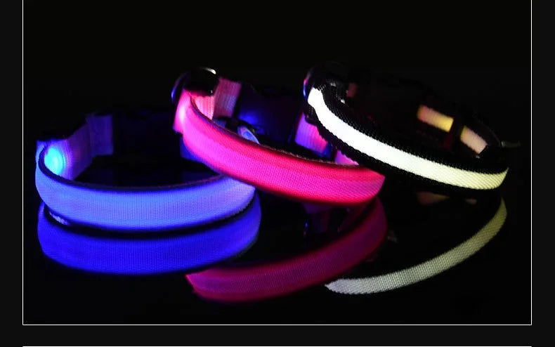 Coleira de nylon led noite segurança piscando brilho no escuro coleira para cães de estimação coleira