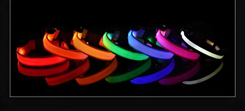 Coleira de nylon led noite segurança piscando brilho no escuro coleira para cães de estimação coleira