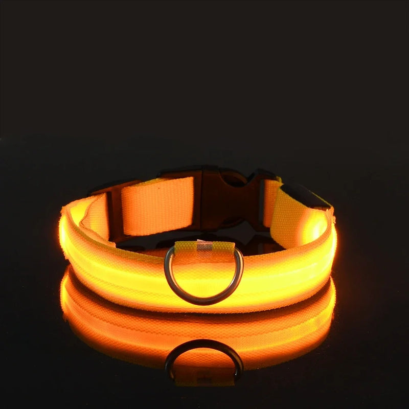 Coleira de nylon led noite segurança piscando brilho no escuro coleira para cães de estimação coleira